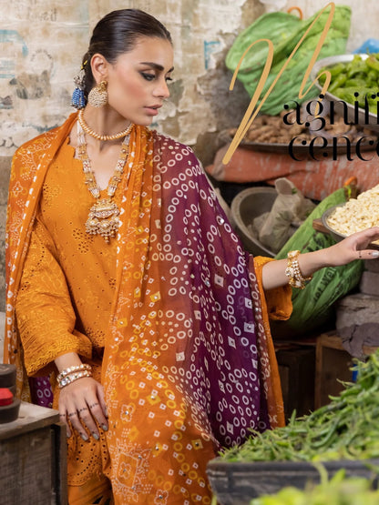 NUREH BAZAR Unstitched Chunri Mukesh