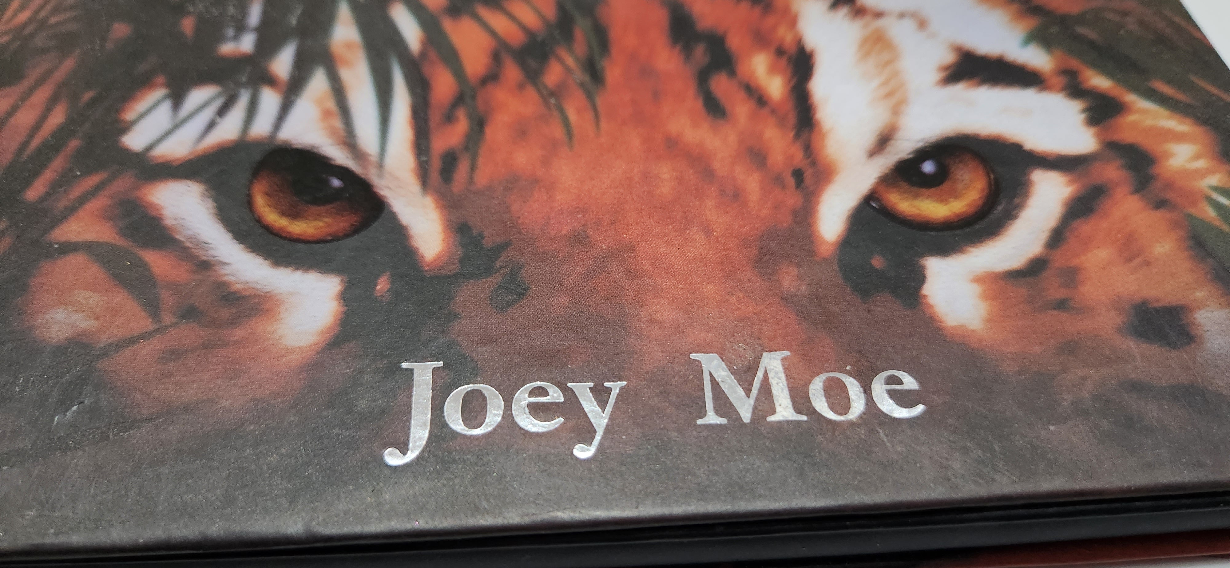 Makeup JOEY MOE Eyeshadow KIT